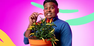 Devon chillies fire up new children's BBC series